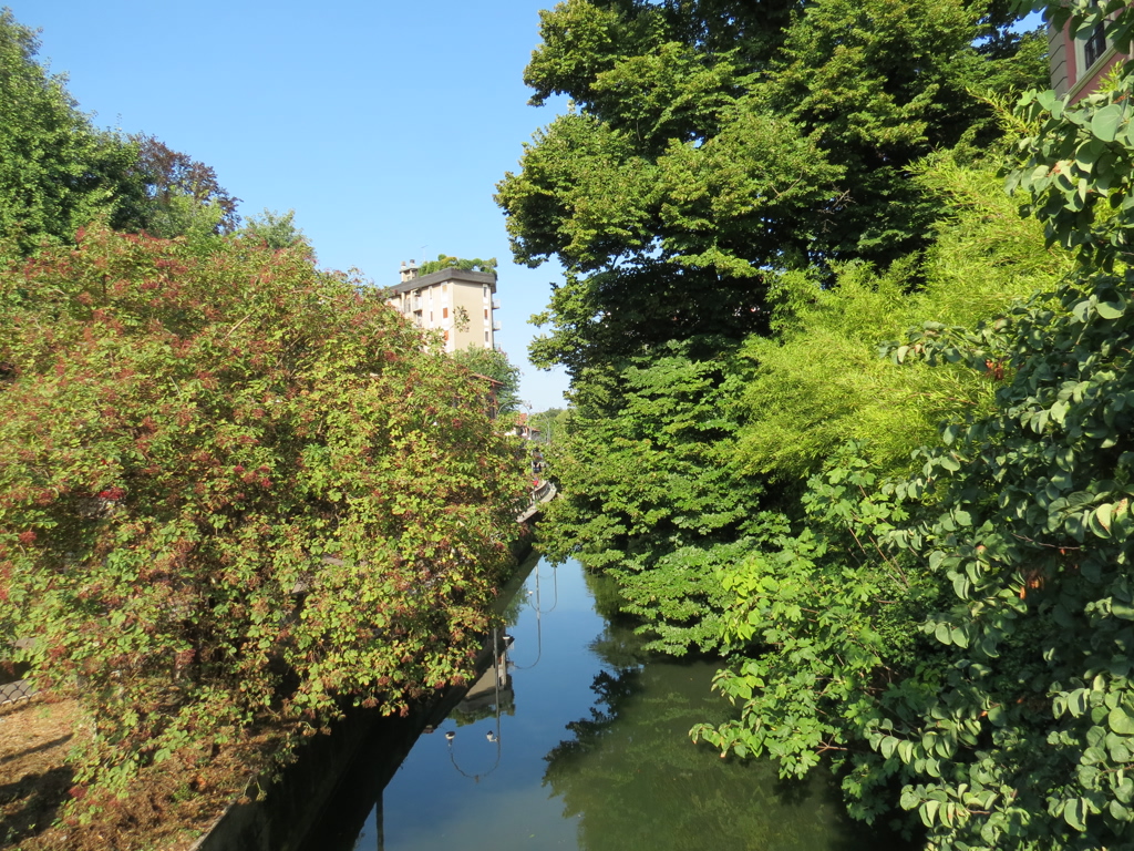 19 Luglio 2026_PonteVecchio_VistaVersoPonteVialeMonza